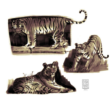 Tigers